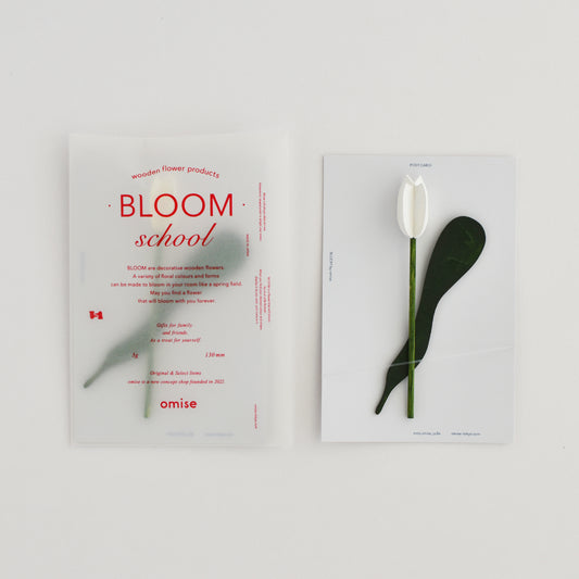 BLOOM school WHITE